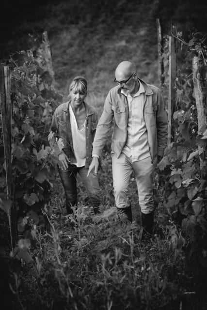 Les vignes du Château Le Devay